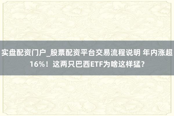 实盘配资门户_股票配资平台交易流程说明 年内涨超16%！这两只巴西ETF为啥这样猛？